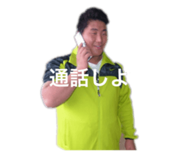 493610051