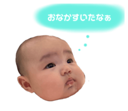 493611922