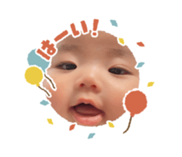 493613446