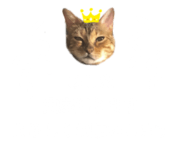 493616469