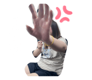 493620535