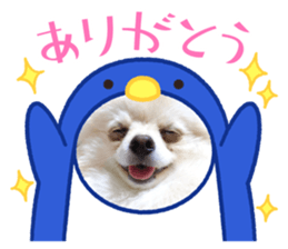 493623053