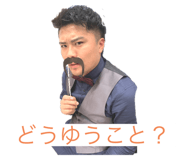 493626446