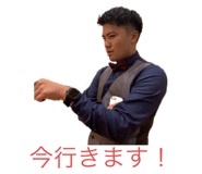 493626455