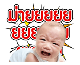 493637792