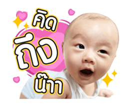493637794