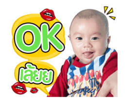 493637801