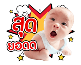 493637804