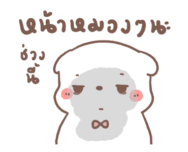 หมีขอ : สายมู รูปที่ 9
