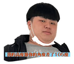 493655067