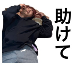 493658144