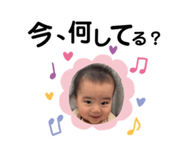 493667686