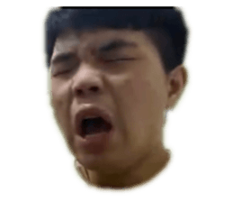 493674770