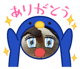 493682151