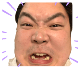 493682845