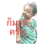 493688246