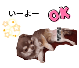 493731369