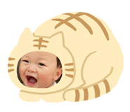 493732273