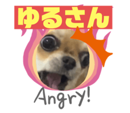 493732704
