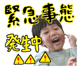 493739444