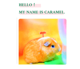 493779688