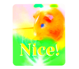 493779690