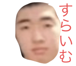 493780165