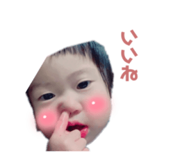 493784146