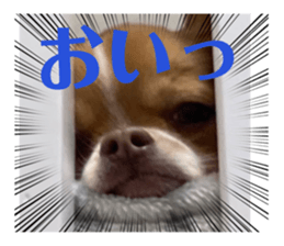 493790814