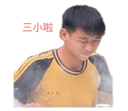 493861207