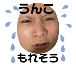 493863581