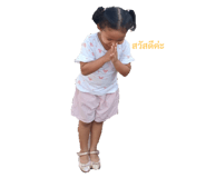 493884445