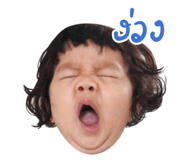 493888242