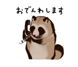 493890621