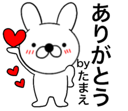 49390067