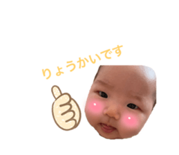 493904238