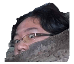 493908441