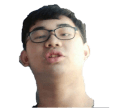 493908442