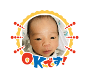 493909084