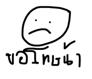 49390946