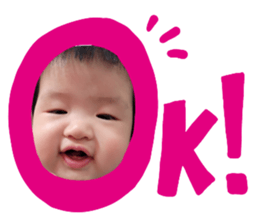 493912580