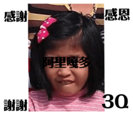 493914219