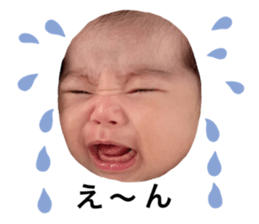 493915819