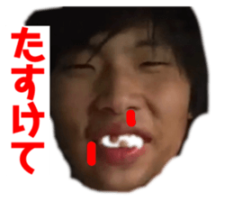 493944508