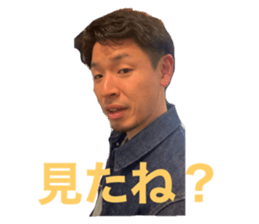 493947577