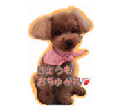493953762