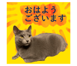 493989090