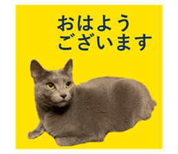 493989108
