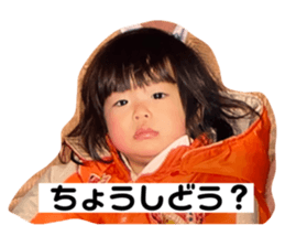 494013711