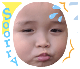 494020154